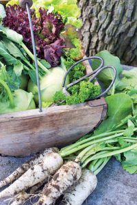Homesteading Family Learns About Living Off the Land Image